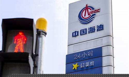 陕西油价或将下跌-陕西油价走势