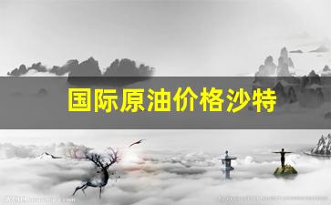 沙特原油提价-国际原油价格沙特