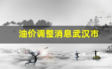 油价调整消息武汉市最新-油价调整消息武汉市