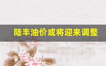 陆丰报价-陆丰油价或将迎来调整