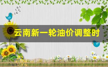 云南省最新油价公布-云南新一轮油价调整时间